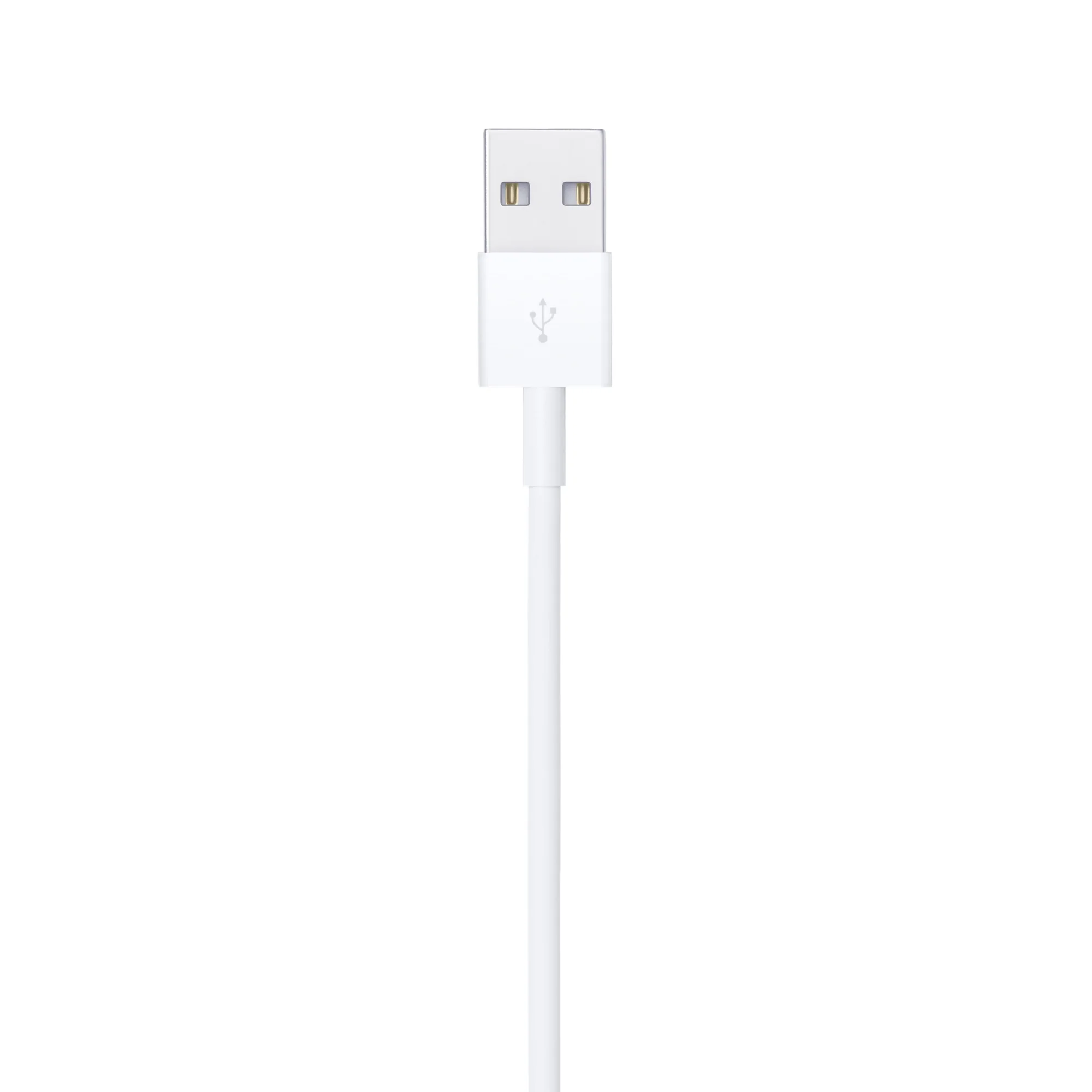 Apple Lightning to USB Cable (4ft) - Image 2